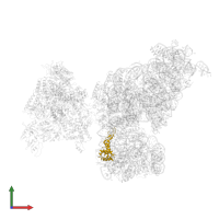 Small ribosomal subunit protein uS7 in PDB entry 6awd, assembly 1, front view.