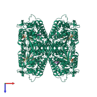 Homo tetrameric assembly 1 of PDB entry 6b5h coloured by chemically distinct molecules, top view.