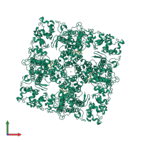 Homo tetrameric assembly 1 of PDB entry 6b5v coloured by chemically distinct molecules, front view.