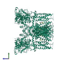 Homo tetrameric assembly 1 of PDB entry 6b5v coloured by chemically distinct molecules, side view.