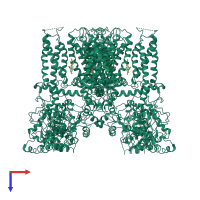 Homo tetrameric assembly 1 of PDB entry 6b5v coloured by chemically distinct molecules, top view.