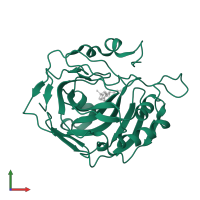 Carbonic anhydrase 2 in PDB entry 6bc9, assembly 1, front view.