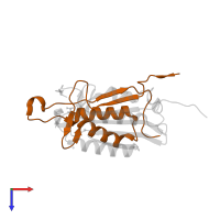 Caspase-3 subunit p12 in PDB entry 6bgk, assembly 2, top view.