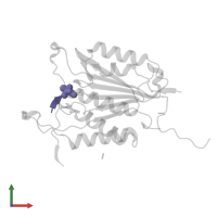 ACE-ASP-GLU-VAL-ASP-0QE in PDB entry 6bgk, assembly 2, front view.