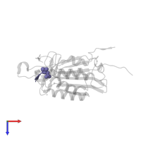 ACE-ASP-GLU-VAL-ASP-0QE in PDB entry 6bgk, assembly 2, top view.