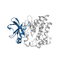 The deposited structure of PDB entry 6bkh contains 1 copy of CATH domain 3.30.200.20 (Phosphorylase Kinase; domain 1) in Tyrosine-protein kinase BTK. Showing 1 copy in chain A.