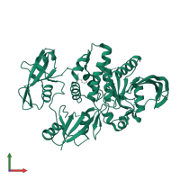 Tyrosine-protein phosphatase non-receptor type 11 in PDB entry 6bn5, assembly 1, front view.