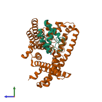 Hetero dimeric assembly 3 of PDB entry 6buh coloured by chemically distinct molecules, side view.