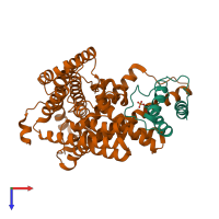 Hetero dimeric assembly 4 of PDB entry 6buh coloured by chemically distinct molecules, top view.