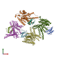 PDB entry 6buh coloured by chain, front view.