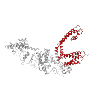 The deposited structure of PDB entry 6bwf contains 4 copies of Pfam domain PF00520 (Ion transport protein) in Transient receptor potential cation channel subfamily M member 7. Showing 1 copy in chain A.