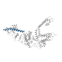 The deposited structure of PDB entry 6bwf contains 4 copies of Pfam domain PF16519 (Tetramerisation domain of TRPM) in Transient receptor potential cation channel subfamily M member 7. Showing 1 copy in chain A.