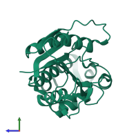 Phosphoenolpyruvate guanylyltransferase in PDB entry 6bwg, assembly 1, side view.