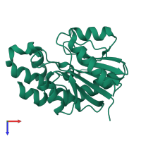 Phosphoenolpyruvate guanylyltransferase in PDB entry 6bwg, assembly 1, top view.