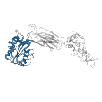 The deposited structure of PDB entry 6bxf contains 2 copies of Pfam domain PF00362 (Integrin beta chain VWA domain) in Integrin alpha-L. Showing 1 copy in chain B.