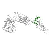 The deposited structure of PDB entry 6bxf contains 2 copies of Pfam domain PF17205 (Integrin plexin domain) in Integrin alpha-L. Showing 1 copy in chain B.