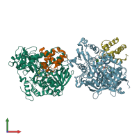 PDB entry 6c12 coloured by chain, front view.
