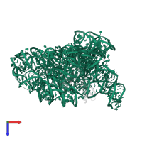 23S ribosomal RNA in PDB entry 6c4h, assembly 1, top view.