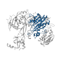 The deposited structure of PDB entry 6cbd contains 1 copy of CATH domain 3.30.420.10 (Nucleotidyltransferase; domain 5) in Protein argonaute-2. Showing 1 copy in chain A.