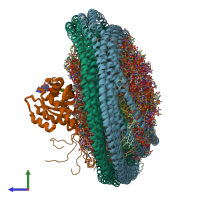 PDB entry 6ccx coloured by chain, ensemble of 10 models, side view.