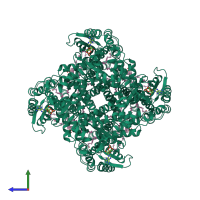 Homo tetrameric assembly 1 of PDB entry 6cju coloured by chemically distinct molecules, side view.