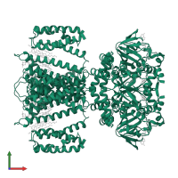 Cyclic nucleotide-binding domain-containing protein in PDB entry 6cju, assembly 1, front view.