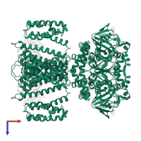 Cyclic nucleotide-binding domain-containing protein in PDB entry 6cju, assembly 1, top view.