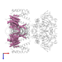 (1R)-2-{[(S)-{[(2S)-2,3-dihydroxypropyl]oxy}(hydroxy)phosphoryl]oxy}-1-[(hexadecanoyloxy)methyl]ethyl (9Z)-octadec-9-enoate in PDB entry 6cju, assembly 1, top view.