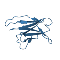 The deposited structure of PDB entry 6ck9 contains 1 copy of CATH domain 2.60.40.10 (Immunoglobulin-like) in 35O22 scFv light chain portion. Showing 1 copy in chain C [auth E].