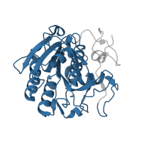 The deposited structure of PDB entry 6cl8 contains 1 copy of Pfam domain PF00082 (Subtilase family) in Proteinase K. Showing 1 copy in chain A.