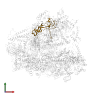 DNA-directed RNA polymerase III subunit RPC8 in PDB entry 6cnb, assembly 1, front view.