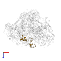 DNA-directed RNA polymerase III subunit RPC8 in PDB entry 6cnb, assembly 1, top view.