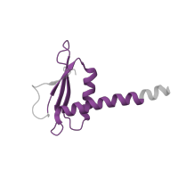 The deposited structure of PDB entry 6cnc contains 1 copy of Pfam domain PF13656 (RNA polymerase Rpb3/Rpb11 dimerisation domain) in DNA-directed RNA polymerases I and III subunit RPAC2. Showing 1 copy in chain K.