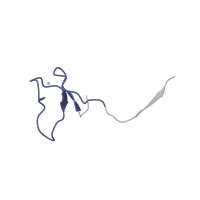 The deposited structure of PDB entry 6cnc contains 1 copy of Pfam domain PF03604 (DNA directed RNA polymerase, 7 kDa subunit) in DNA-directed RNA polymerases I, II, and III subunit RPABC4. Showing 1 copy in chain L.