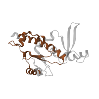 The deposited structure of PDB entry 6cnc contains 1 copy of Pfam domain PF03871 (RNA polymerase Rpb5, N-terminal domain) in DNA-directed RNA polymerases I, II, and III subunit RPABC1. Showing 1 copy in chain E.