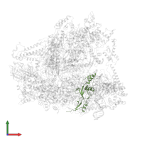 DNA-directed RNA polymerase III subunit RPC5 in PDB entry 6cnc, assembly 1, front view.