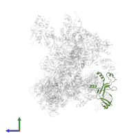 DNA-directed RNA polymerase III subunit RPC5 in PDB entry 6cnc, assembly 1, side view.