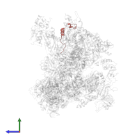 DNA-directed RNA polymerase III subunit RPC7 in PDB entry 6cnc, assembly 1, side view.