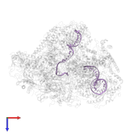 DNA (71-MER) in PDB entry 6cnc, assembly 1, top view.