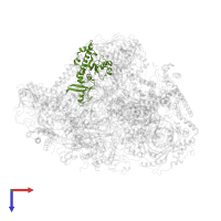 DNA-directed RNA polymerases I, II, and III subunit RPABC1 in PDB entry 6cnc, assembly 1, top view.