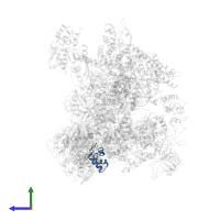 DNA-directed RNA polymerases I, II, and III subunit RPABC5 in PDB entry 6cnf, assembly 1, side view.