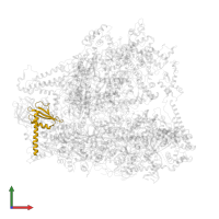 DNA-directed RNA polymerases I and III subunit RPAC2 in PDB entry 6cnf, assembly 1, front view.