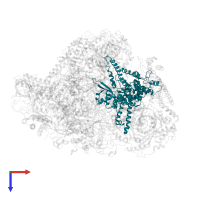DNA-directed RNA polymerase III subunit RPC3 in PDB entry 6cnf, assembly 1, top view.
