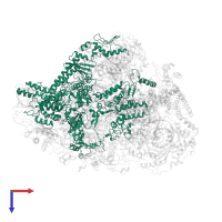 DNA-directed RNA polymerase III subunit RPC1 in PDB entry 6cnf, assembly 1, top view.