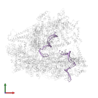DNA (79-MER) in PDB entry 6cnf, assembly 1, front view.