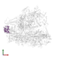 DNA-directed RNA polymerases I, II, and III subunit RPABC3 in PDB entry 6cnf, assembly 1, front view.