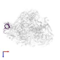 DNA-directed RNA polymerases I, II, and III subunit RPABC3 in PDB entry 6cnf, assembly 1, top view.