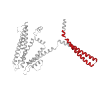 The deposited structure of PDB entry 6cno contains 4 copies of Pfam domain PF02888 (Calmodulin binding domain) in Intermediate conductance calcium-activated potassium channel protein 4. Showing 1 copy in chain A.