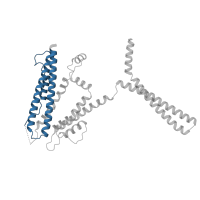 The deposited structure of PDB entry 6cno contains 4 copies of Pfam domain PF03530 (Calcium-activated SK potassium channel) in Intermediate conductance calcium-activated potassium channel protein 4. Showing 1 copy in chain A.
