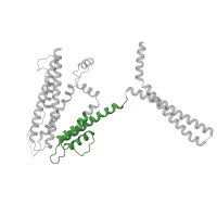 The deposited structure of PDB entry 6cno contains 4 copies of Pfam domain PF07885 (Ion channel) in Intermediate conductance calcium-activated potassium channel protein 4. Showing 1 copy in chain A.